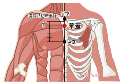 華蓋穴|華蓋穴